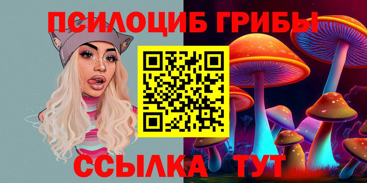 Галлюциногенные грибы мицелий Вышний Волочёк
