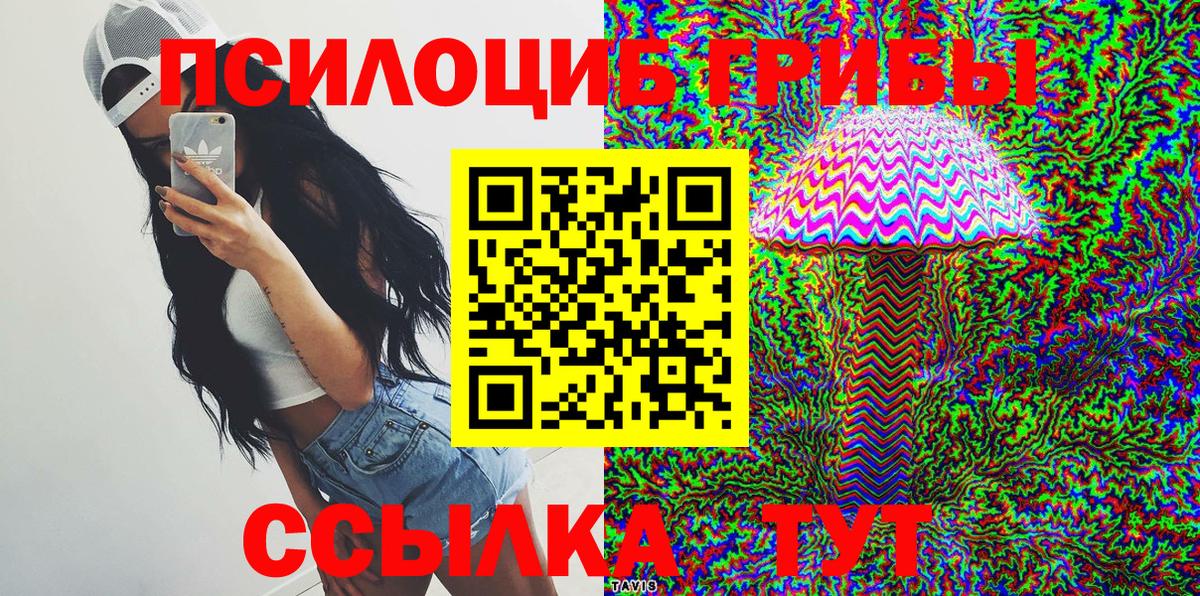 Псилоцибиновые грибы Psilocybe  Галлюциногенные грибы прущие грибы  Вход с VPN  Вышний Волочёк 